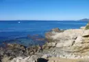 Quand les entreprises font de leur patrimoine un business prospère