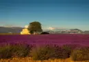 Arles : que trouvera-t-on à la cité de l’image et du vivant ?