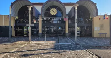 Arles à Arles : informations utiles