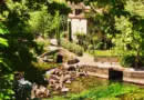 1er juillet 2025 à Arles : achat ou location, quelles sont les évolutions relevées dans l’immobilier? – Nice-Presse