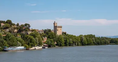 ARLES Marais de Beauchamp : le maire souhaite en faire « un lieu d’apprentissage de la nature »
