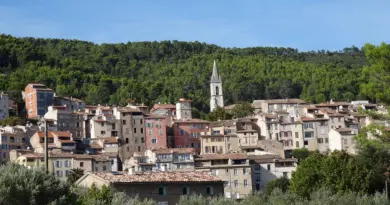 AUTOUR DES ARÈNES Frédéric Bon, entre passion et épreuves