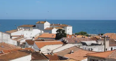 Aménagement : Arles, Tarascon et la Camargue se tournent vers Nîmes