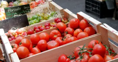Arles: face à la canicule, la ville prend des mesures pour les écoles non-climatisées
