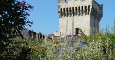 Cavalerie : une nouvelle entrée de ville se dessine – arles.fr