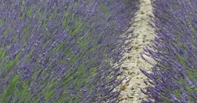 Ces 8 festivals photo à ne pas maquer cet été dans toute la France