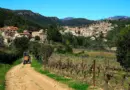 Colère et inquiétude des habitants devant le projet immobilier rue Henri Satre à Arles