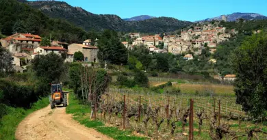 Colère et inquiétude des habitants devant le projet immobilier rue Henri Satre à Arles