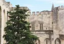 Demande d’acte d’état civil : Ville d’Avignon