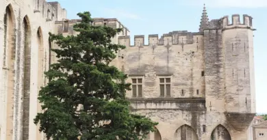 Demande d’acte d’état civil : Ville d’Avignon