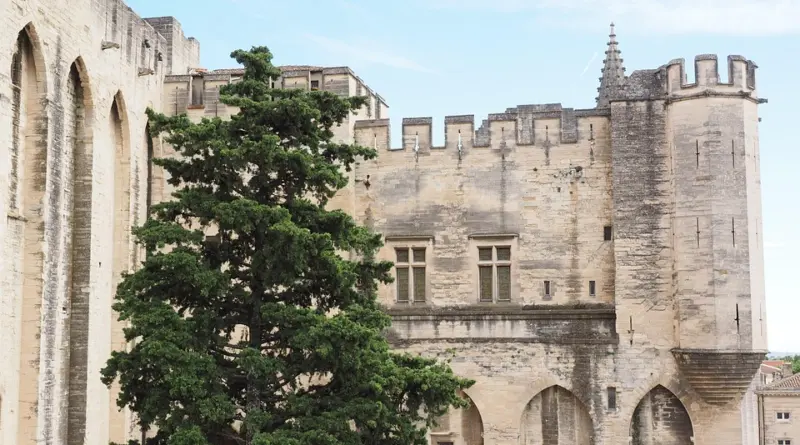 Demande d’acte d’état civil : Ville d’Avignon