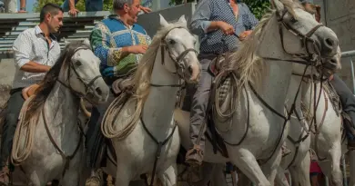 Feria du riz 2024 : la fête se déploie dans la ville