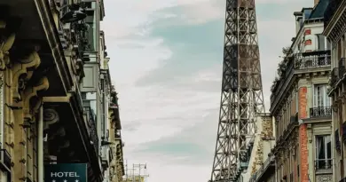 Il était une fois le marché d’Arles