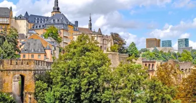La Ville met à l’honneur des Arlésiens remarquables