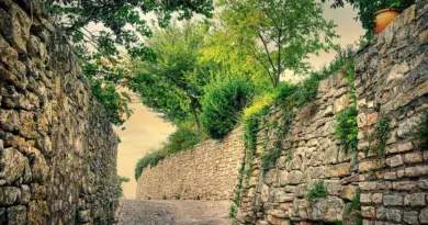 NÎMES Nouveaux locaux pour nouvelle vie