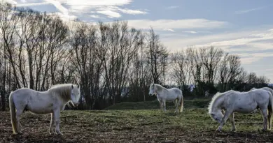 Rencontres d’Arles 2025 : nos coups de cœur à voir absolument