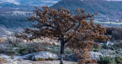 Tour France Num – Arles – Région Sud – Provence-Alpes-Côte-d’Azur