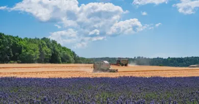 Trouvailles #3 Jardins de La Verrerie Arles 27 septembre 2025 – unidivers.fr