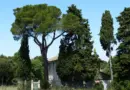 « Un levier de croissance »: Initiative Pays d’Arles propose un dispositif d’accompagnement pour les créateurs et repreneurs d’entreprise – La Provence