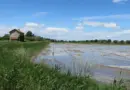Stéphane Paglia (CCI du Pays d’Arles) relativise l’impact de la ligne 400KV