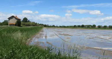 Stéphane Paglia (CCI du Pays d’Arles) relativise l’impact de la ligne 400KV