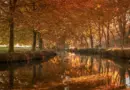 Un musée de la photographie en projet à Arles