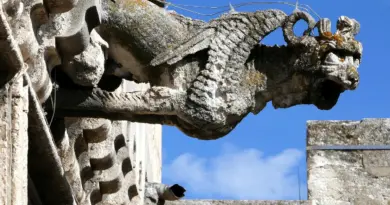 À Arles, ce « musée de la vie vivante » qui exalte l’âme et les traditions provençales