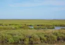 Préserver l’environnement des Bouches-du-Rhône