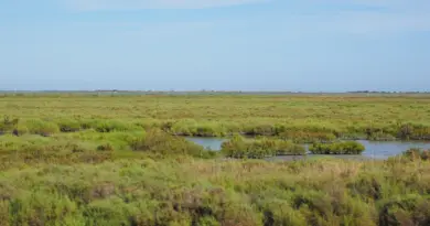 Préserver l’environnement des Bouches-du-Rhône