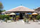 Des organisations internationales s’alarment des projets en Camargue