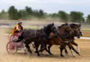 Jeux Concours