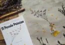 À Arles, un espace thérapeutique « Snoezelen » pourrait voir le jour à l’école Le Petit Prince, en septembre 2025