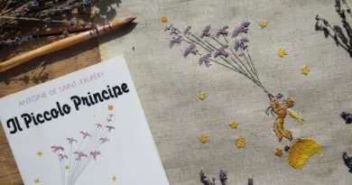 À Arles, un espace thérapeutique « Snoezelen » pourrait voir le jour à l’école Le Petit Prince, en septembre 2025