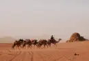 Gard : les propos de Jordan Bardella à propos de la corrida suscitent de vives réactions