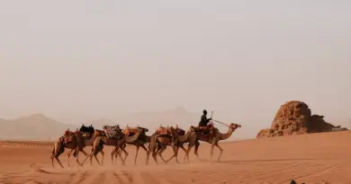 Gard : les propos de Jordan Bardella à propos de la corrida suscitent de vives réactions