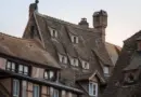 Biodiversité : la Fondation du patrimoine finance une mission pour sauver le criquet de Crau et son habitat