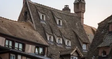 Biodiversité : la Fondation du patrimoine finance une mission pour sauver le criquet de Crau et son habitat