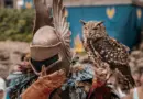 Festival de la Camargue et du Delta du Rhône 2025 – frequence-sud.fr
