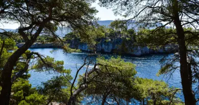 Les 72h de l’Écologie à Marseille et Aubagne