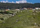 Les Fêtes Médiévales 2024 en région PACA – frequence-sud.fr