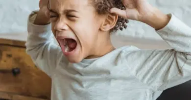 Les Nuits de l’orientation : trouver sa voie sans stress