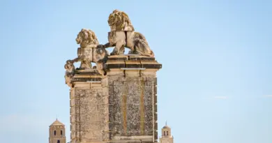 Arles : l’appel des Marais du Vigueirat n’échappe pas au Groupe SOS