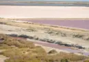 Camargue : Christophe Berti, sellier maroquinier et Meilleur Ouvrier de France