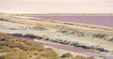 LUMA Arles / KOO JEONG A : LAND OF OUSSS [KANGSE], Exposition : dates, horaires, tarifs
