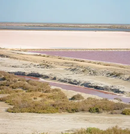 LUMA Arles / KOO JEONG A : LAND OF OUSSS [KANGSE], Exposition : dates, horaires, tarifs