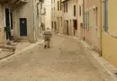 Festival OFF photo à Arles : notre sélection d’expositions à découvrir pour cette deuxième édition