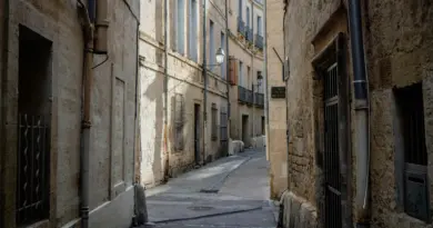 Arles : pour cette nouvelle édition, les merveilles de la région rayonnent à Provence Prestige