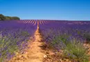 Agenda : 8e édition Salon des Agricultures de Provence en juin –