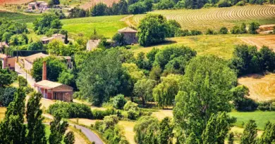 ARLES Une délinquance en baisse, mais des faits qui restent graves